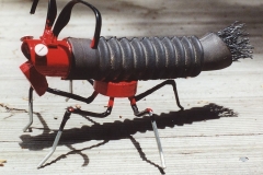 2002-cuc-Ràko-Coll.Fita_web