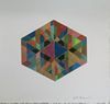 1969_Alderamin-collage_IMG20231123155203_100max