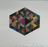 1969_Human-collage_IMG20231123155216_100max