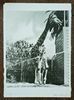 1975_c19_IMG20231227100220_100max