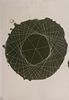 1980_Litho4_IMG20240126155225_100max
