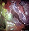 1987_X216_172x162cm_100max