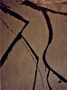 1992_50_172x130cm_100max
