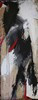 2011_X_2025022216-43-41219_100max