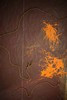 2020_junio-strings-theory_243x155cm_1E4A0582_100max