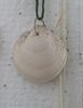 YYYY_pendants-H_IMG20231123095831_100max